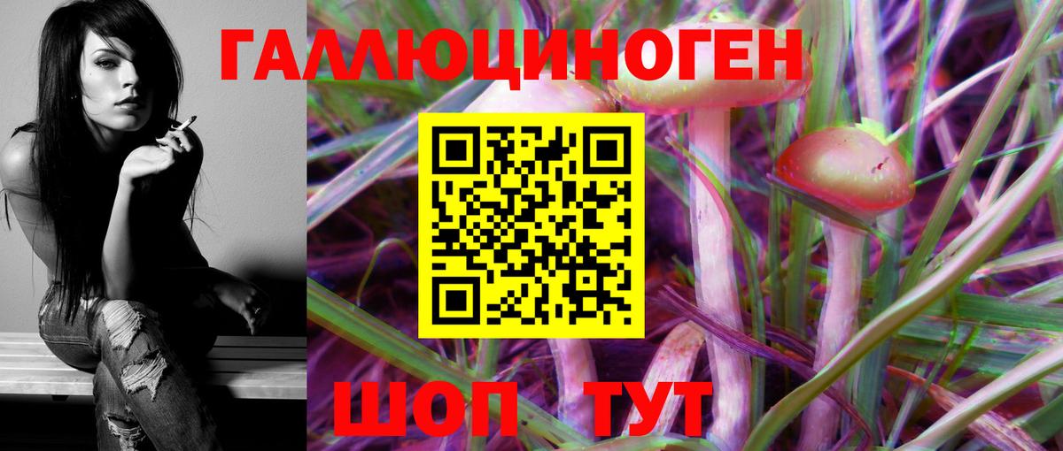 Ухта  Псилоцибиновые грибы Psilocybine cubensis  Вход с VPN 