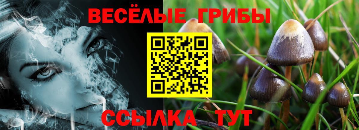 Псилоцибиновые грибы мицелий Ухта